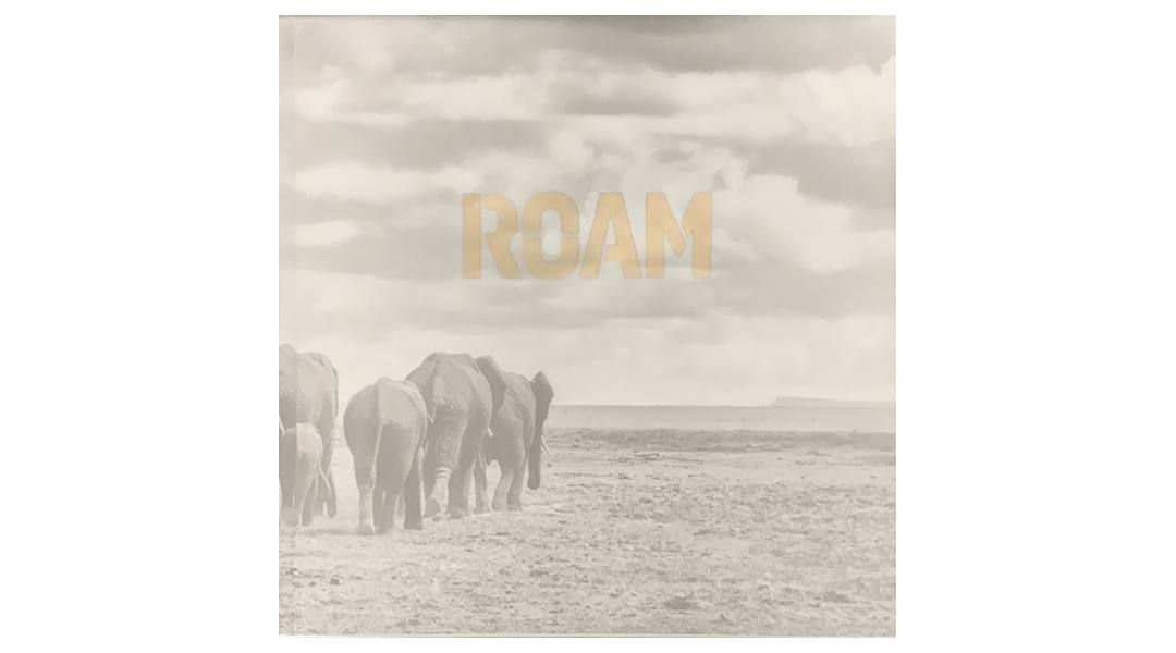 Indigo Design Award: ROAM