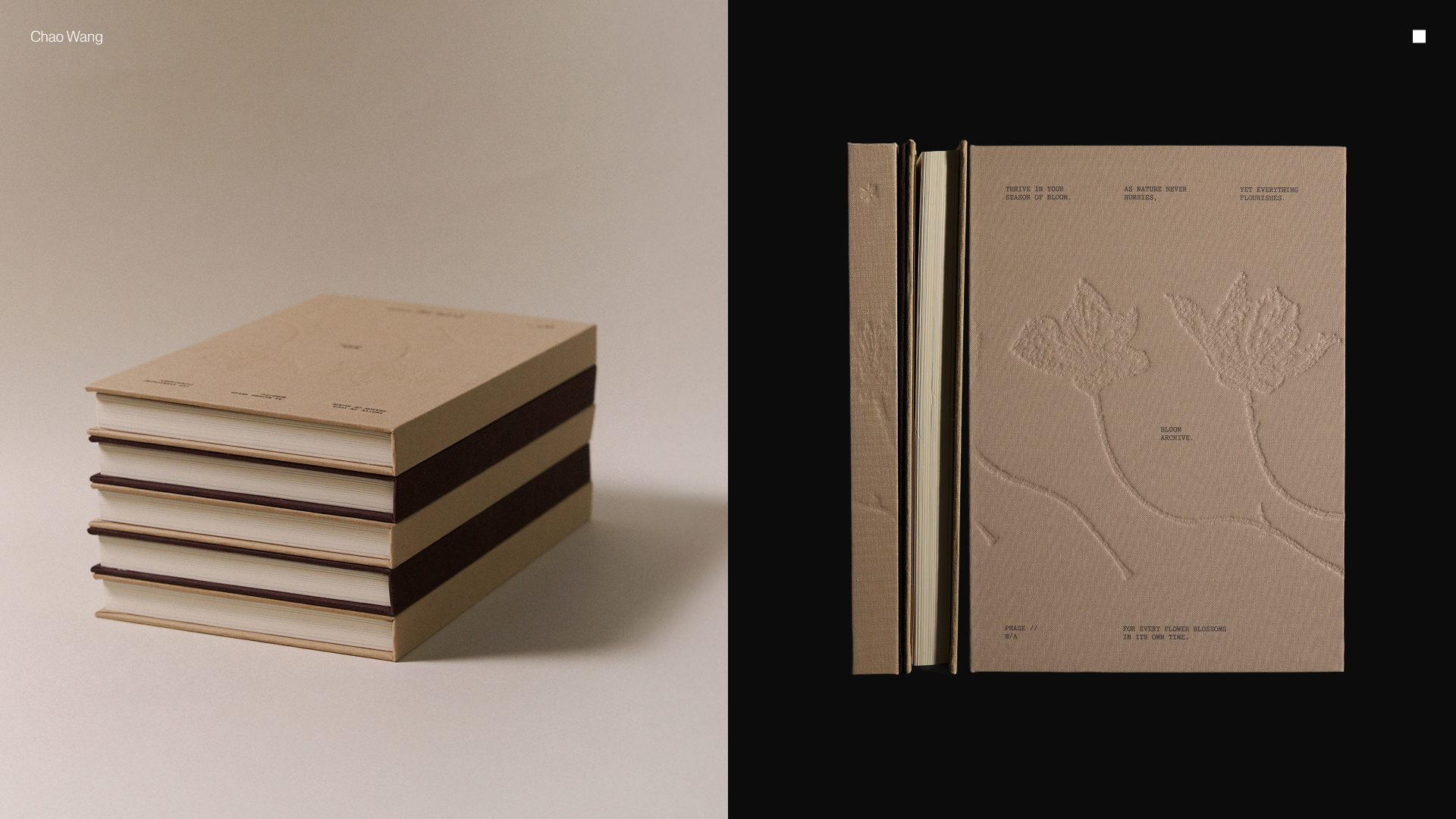Indigo Award Design