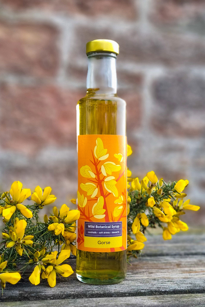 Wild Botanical Syrup Indigo Award winner 2026