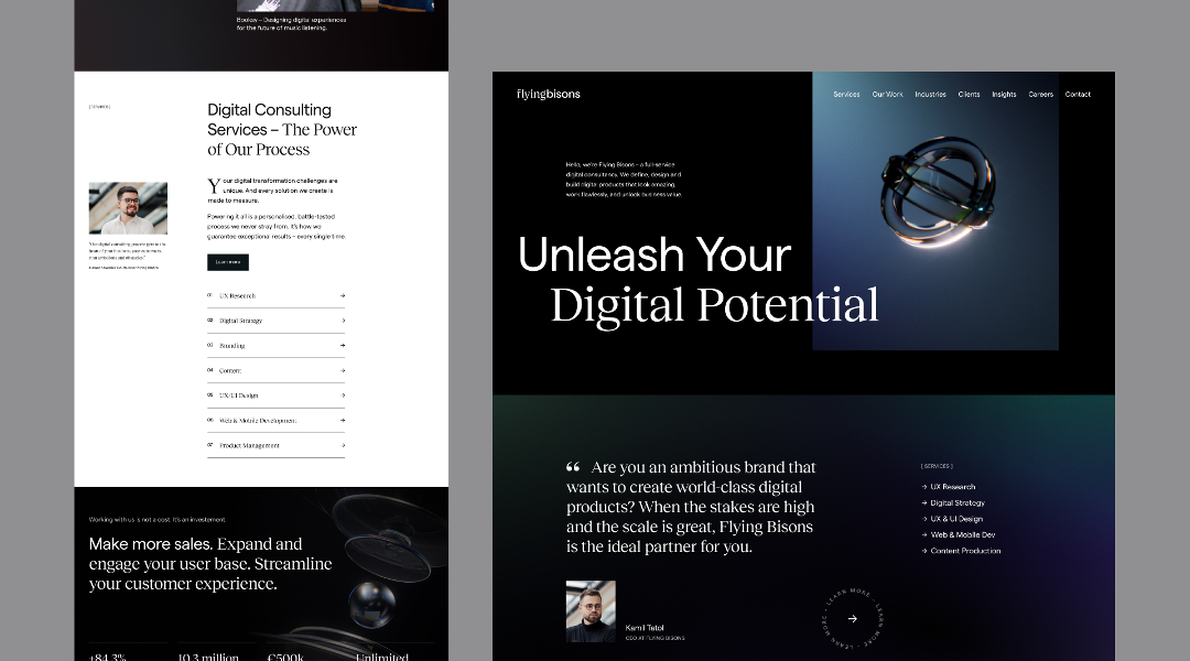 Indigo Design Award: Website Redesign - Flying Bisons