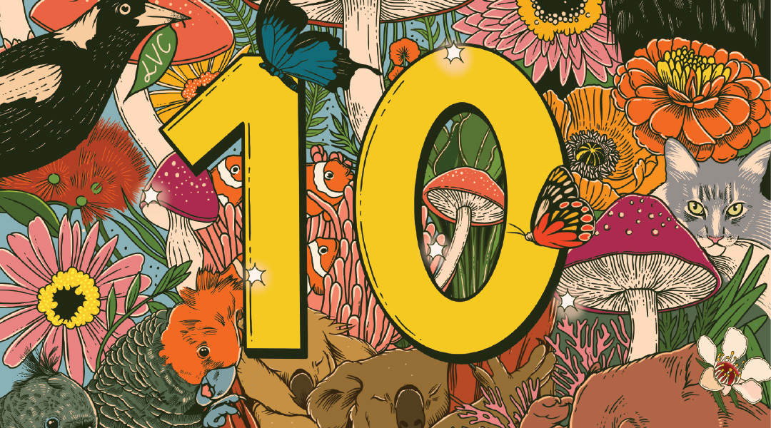 Indigo Design Award: Little Village Creative End of Year Card 2025
