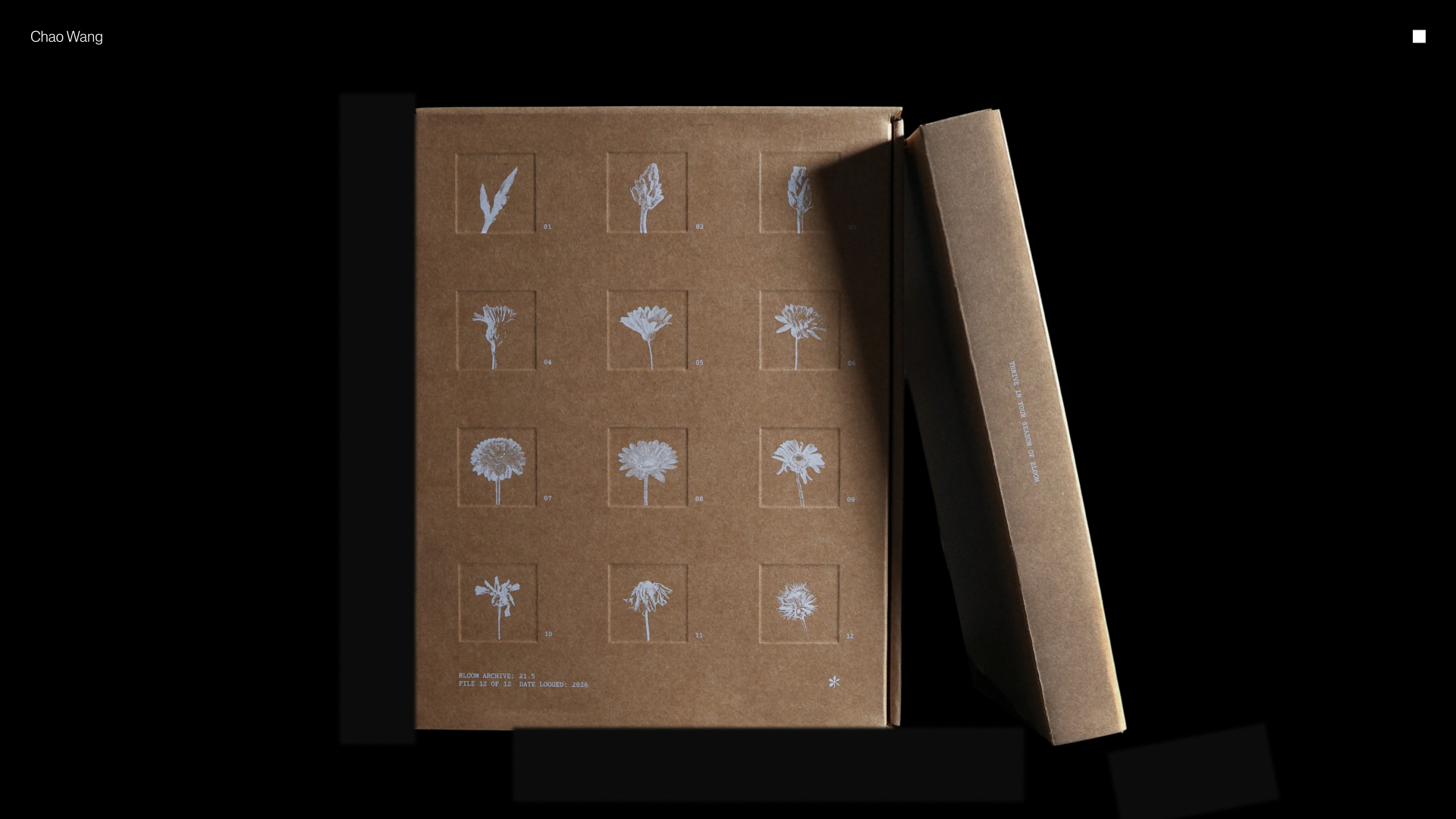 Indigo Award Design